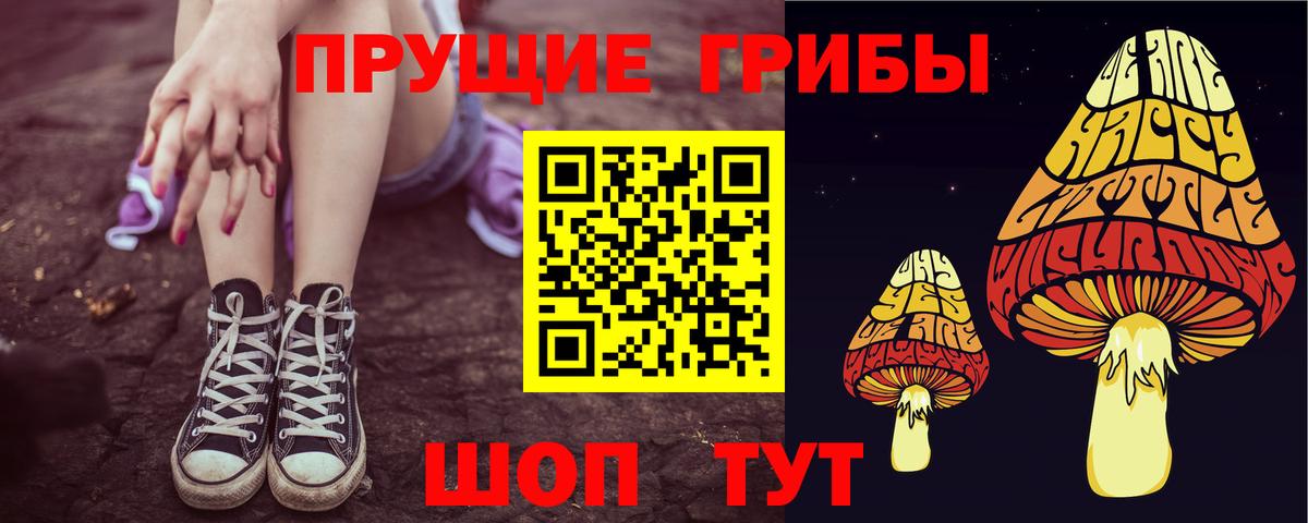 Галлюциногенные грибы Psilocybe  Вход с VPN  Заводоуковск 